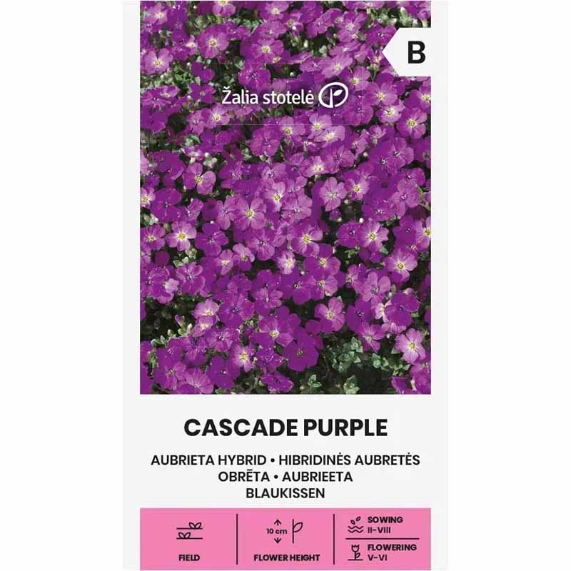Aubrieta hybrid Cascade purple