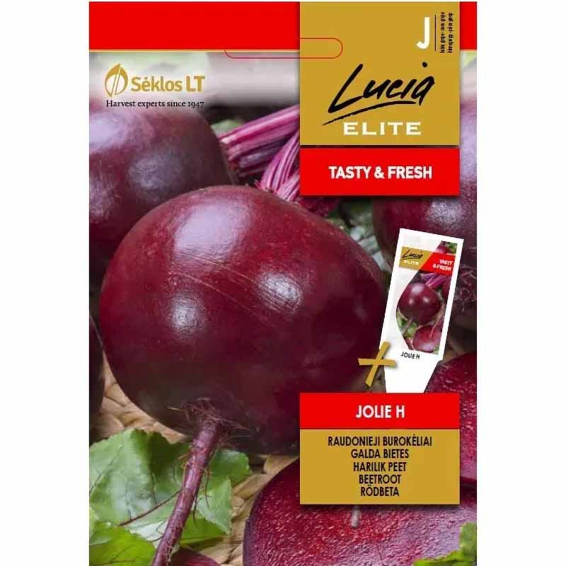 Rödbeta 'Jolie' H