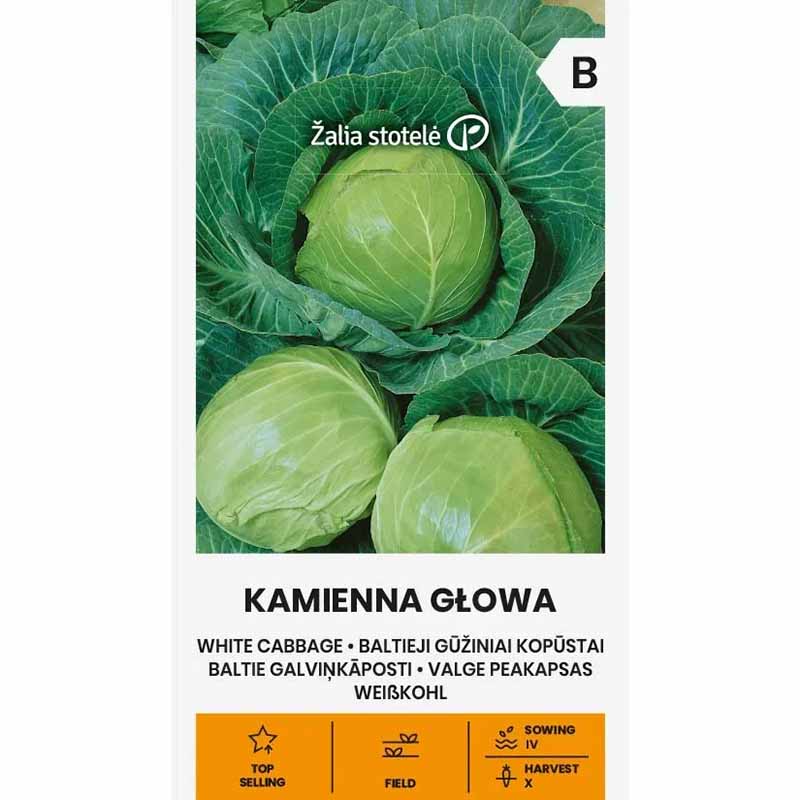 Vitkål 'Kamienna Glowa'