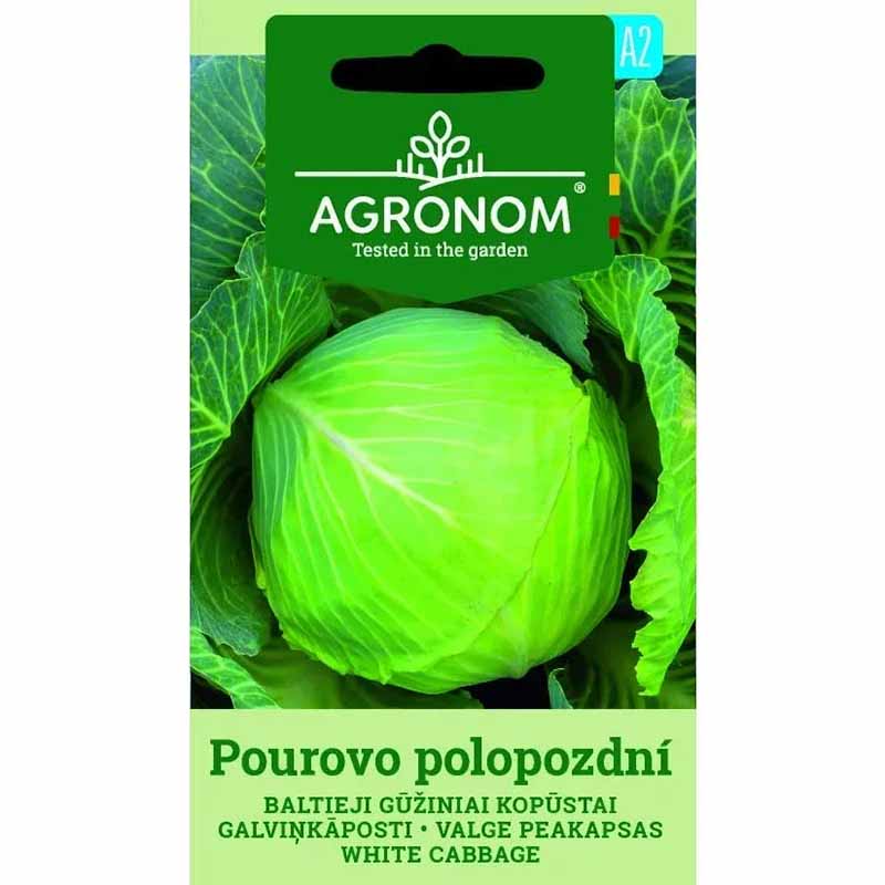 Vitkål 'Pourovo polopozdni'