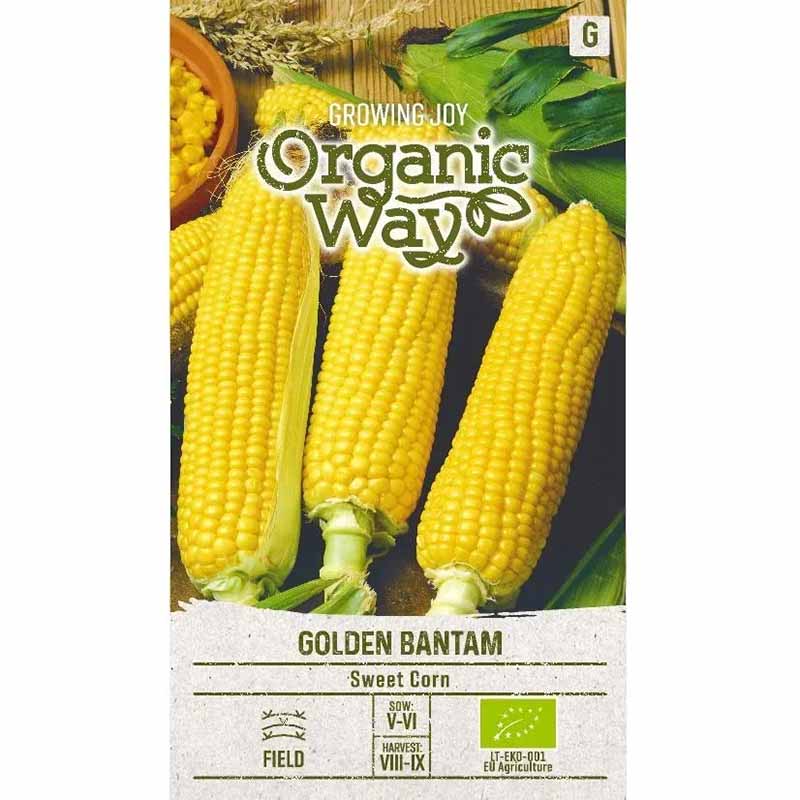 Sockermajs 'Golden bantam'