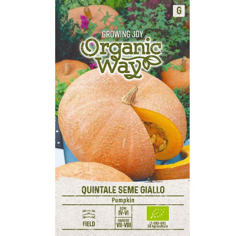 Pumpa 'Quintale seme giallo'