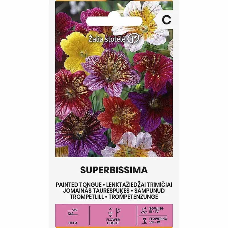 Trumpetblomma 'Superbissima'
