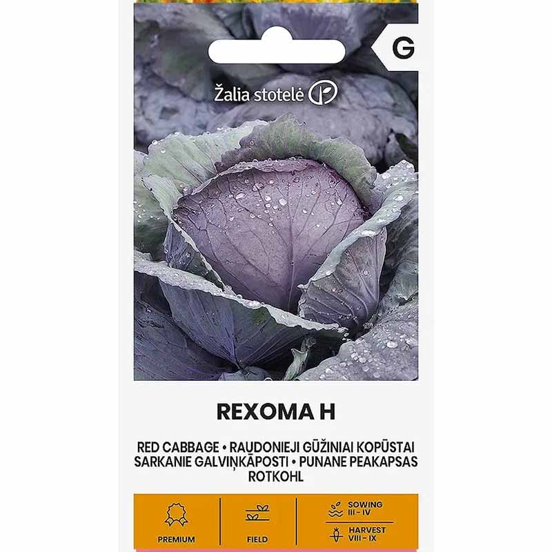 Rödkål 'Rexoma' h
