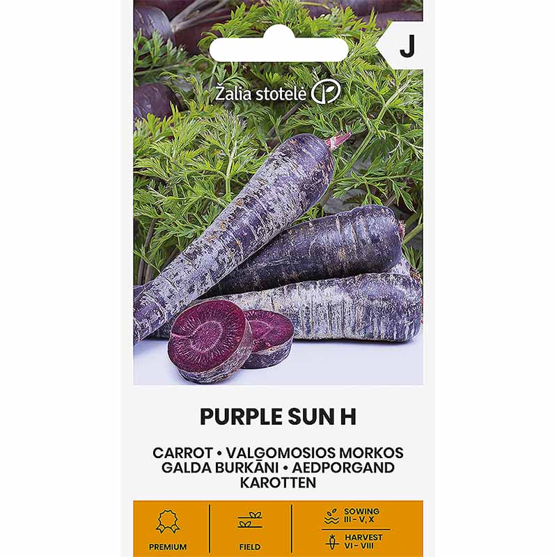Morot 'Purple sun' H