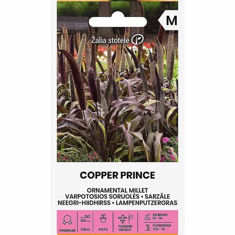 Pärlhirs 'Copper Prince' h