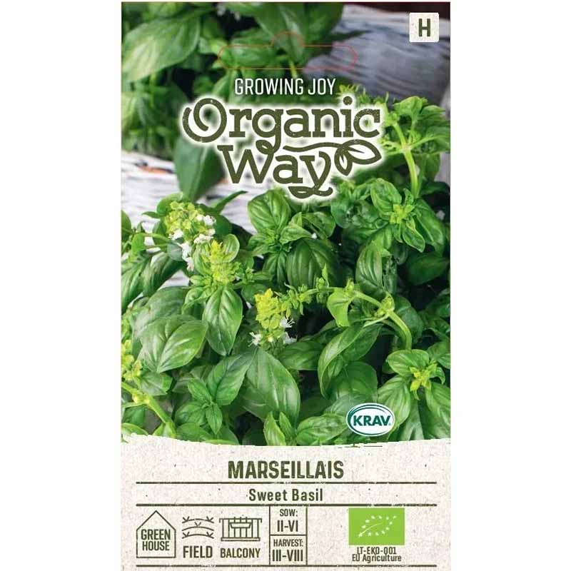 Basilika 'Marseillais'