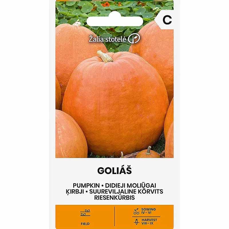 Jättepumpa 'Golias'