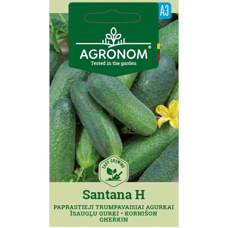 Frilandsgurka 'Santana' h