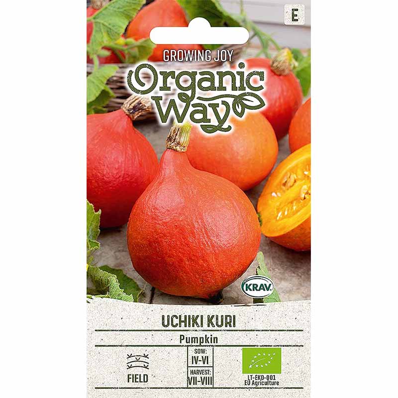 Pumpa 'Uchhiki kuri'