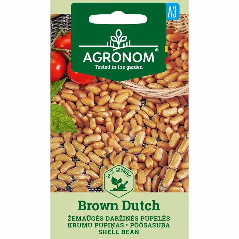 Kokböna 'Brown dutch'