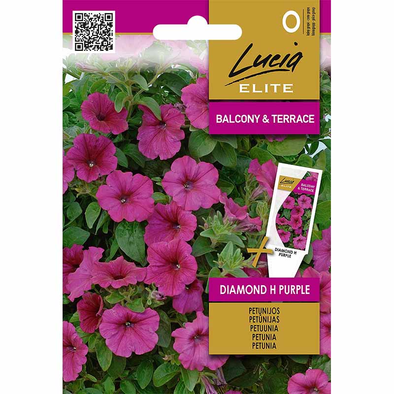 Petunia 'Diamond' H Purple