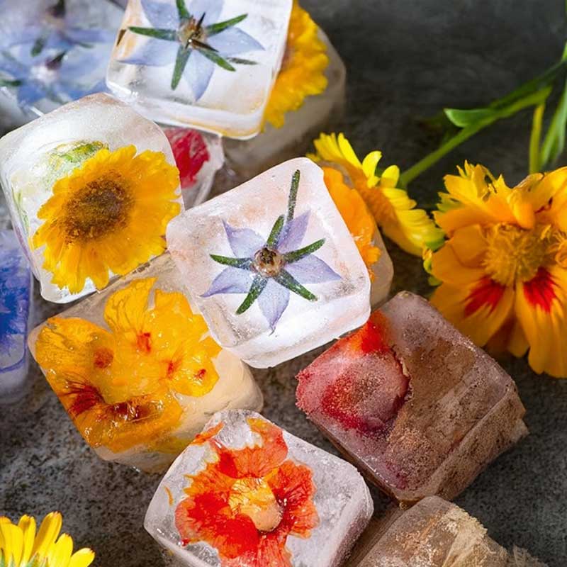 Blomsterblandning 'Ice cube'