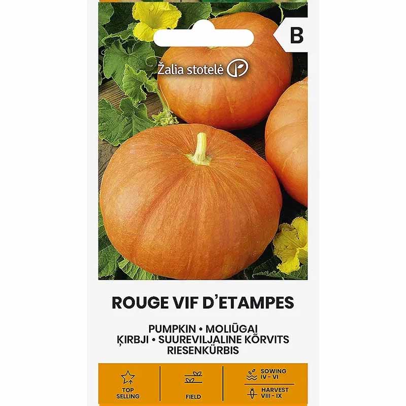 Mammutpumpa 'Rouge Vif D'Etampes'