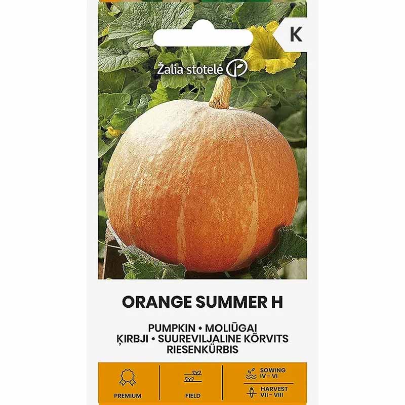 Jättepumpa 'Orange Summer' H