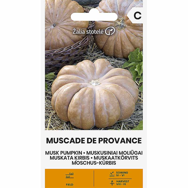 Myskpumpa 'Muscade de provance'