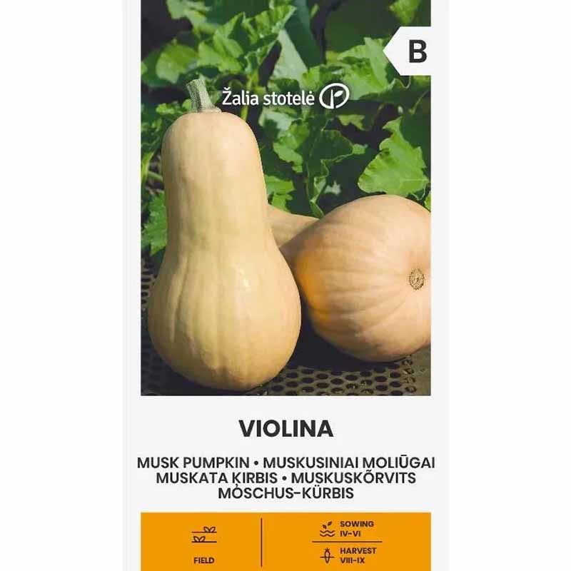 Myskpumpa 'Violina'