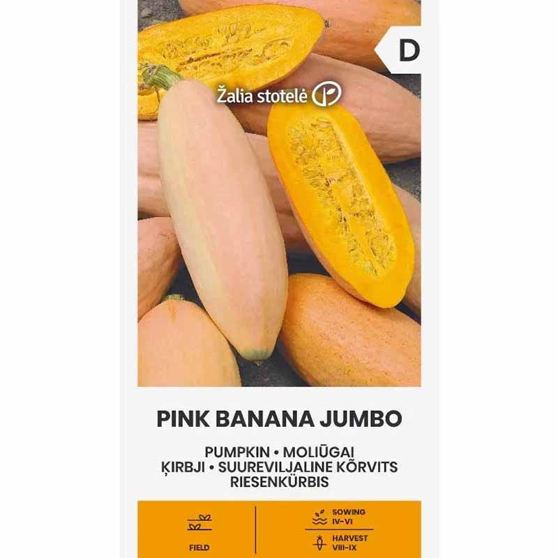Jättepumpa 'Pink banana jumbo'