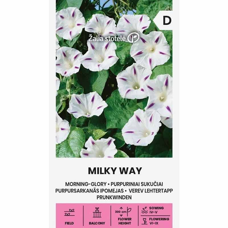 Purpurvinda 'Milky way'