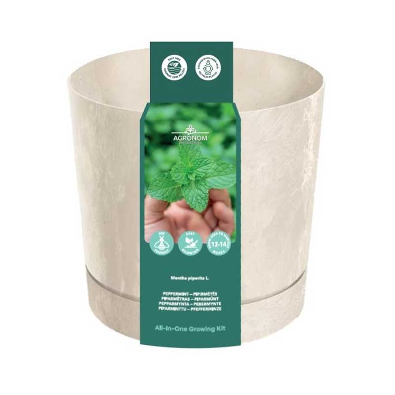 Odlingskit Pepparmynta