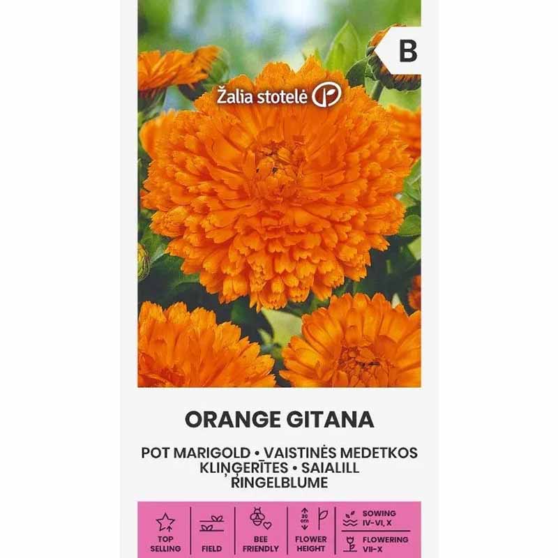 Ringblomma 'Orange gitana'