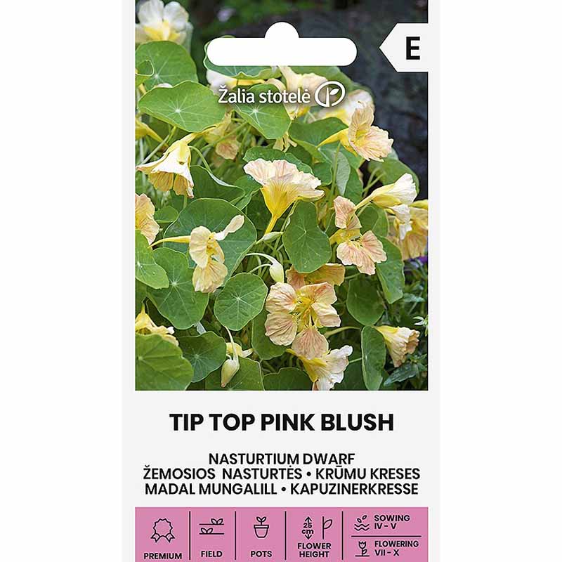 Krasse 'Tip Top Pink Blush'