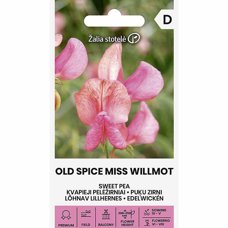 Luktärt 'Old spice miss Willmot'