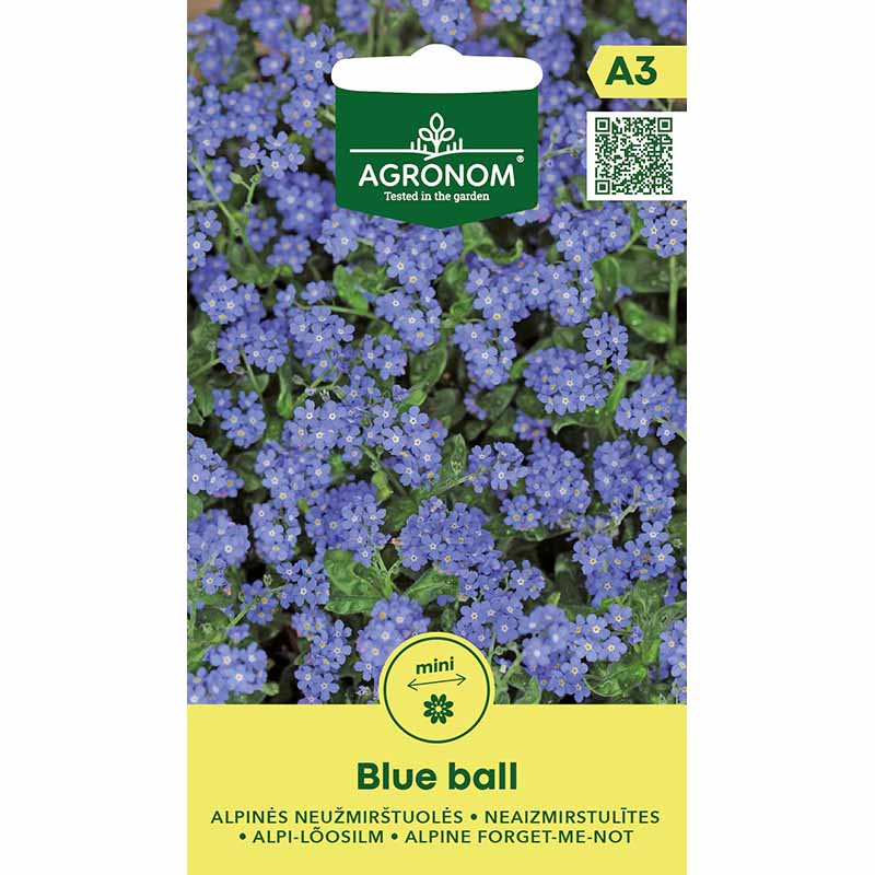 Alpin Förgätmigej 'Blue Ball'