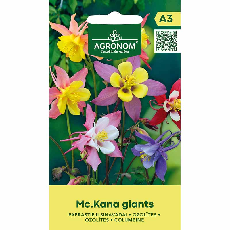 Akleja 'McKana Giants'