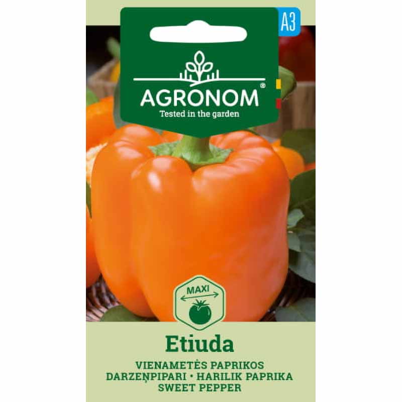 Paprika 'Etiuda'