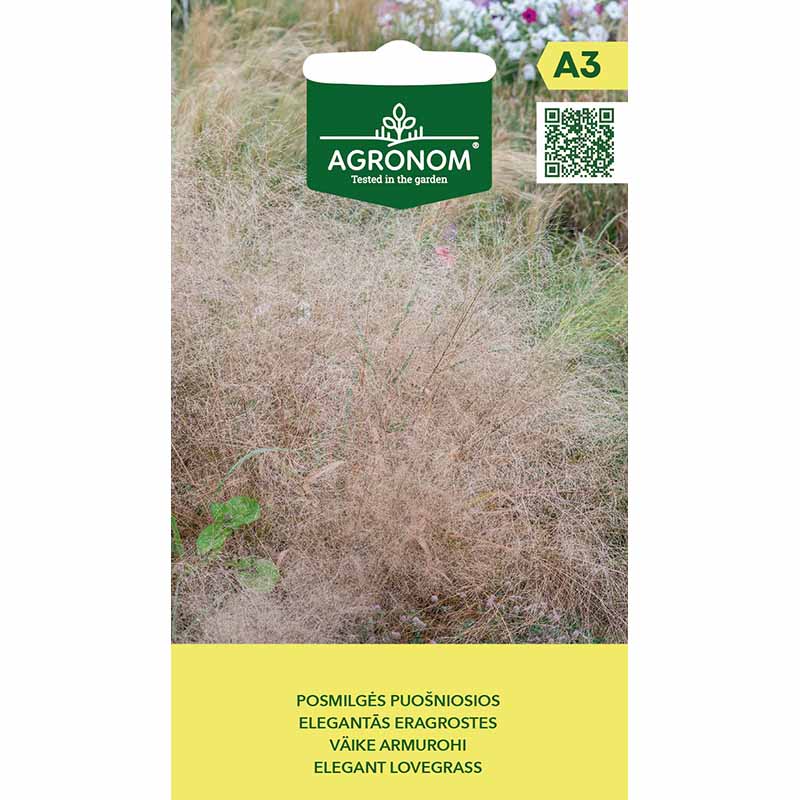 Elegant kärleksgräs