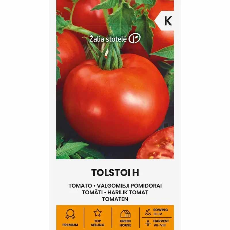 Tomat 'Tolstoi' H