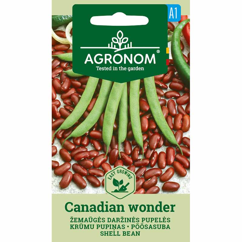 Kidneyböna 'Canadian Wonder'