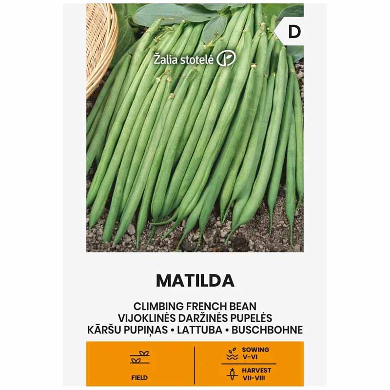 Klätterböna 'Matilda'