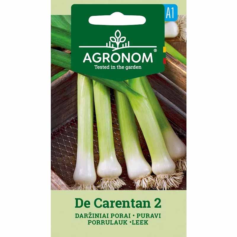 Purjolök 'De carentan 2'