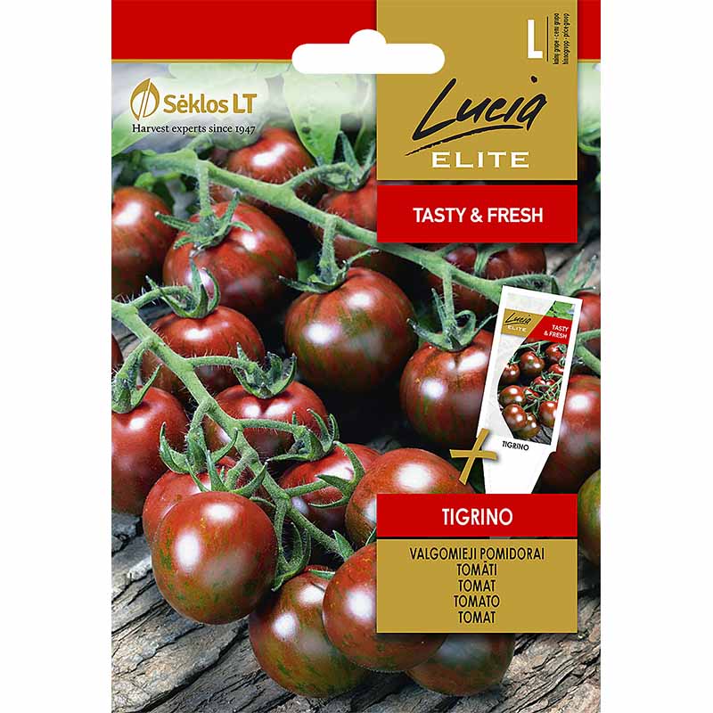 Tomat 'Tigrino'