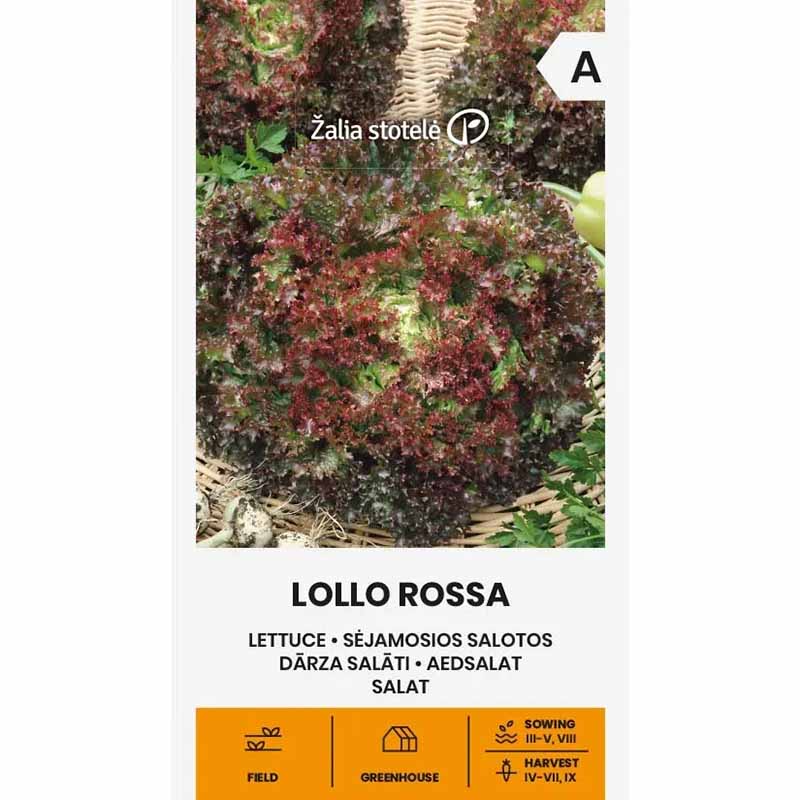 Bataviasallat 'Lollo Rossa'