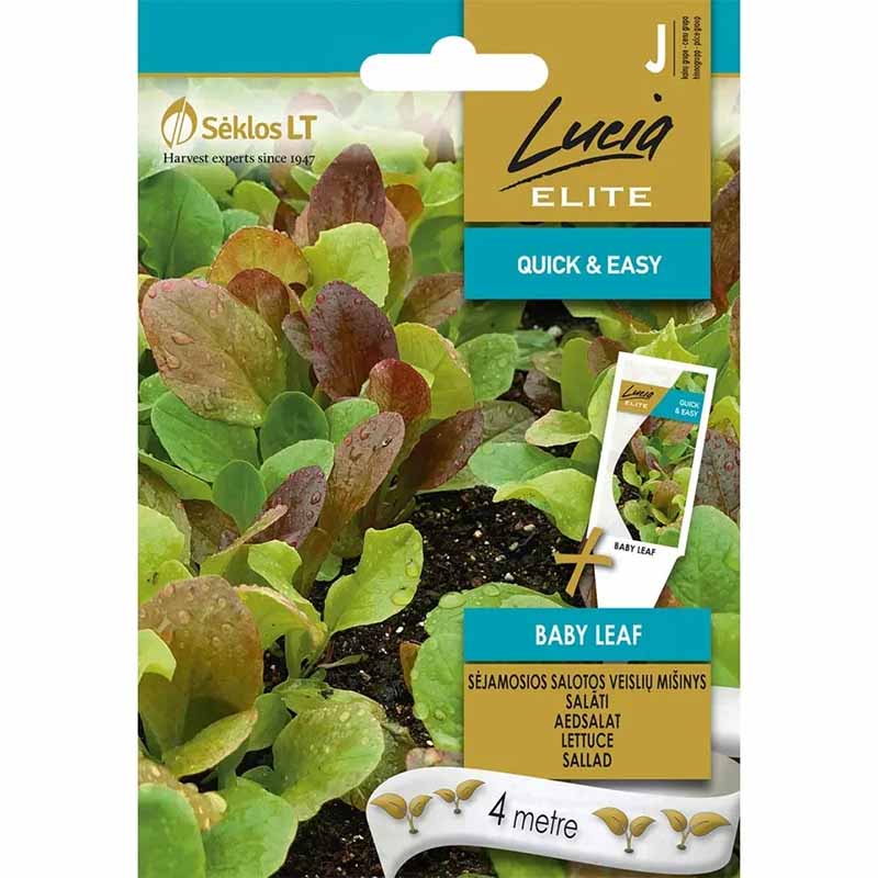 Sallat 'Baby leaf'