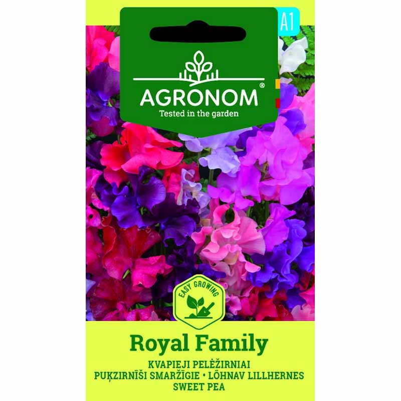 Luktärt 'Royal family'