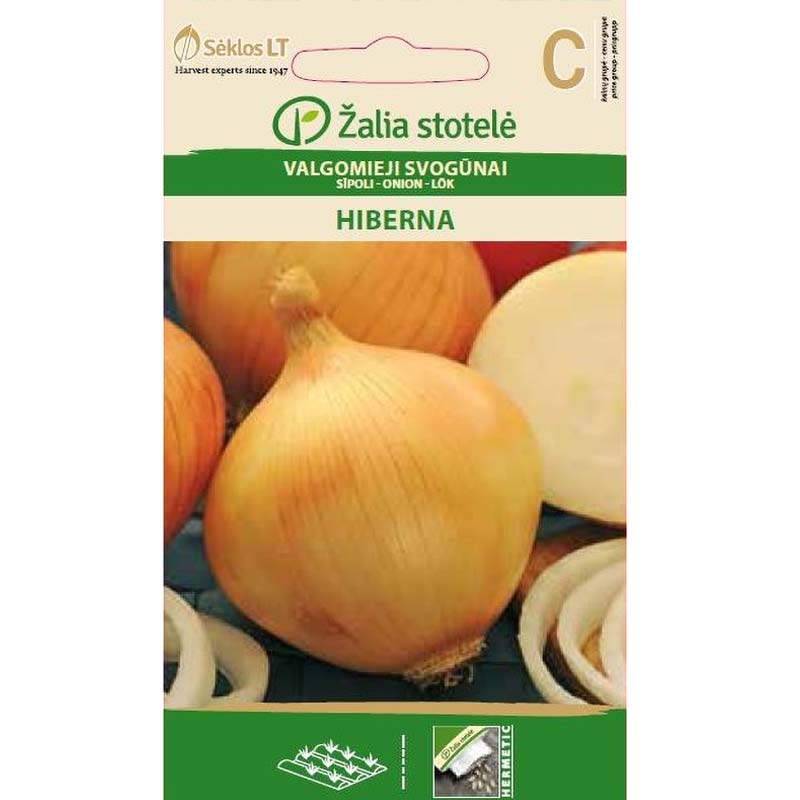 Lök 'Hiberna'