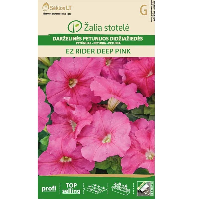 Petunia 'EZ rider deep pink'