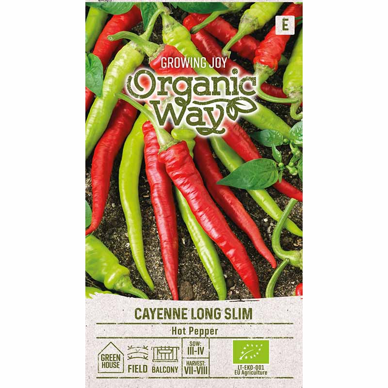 Chilipeppar 'Cayenne Long Slim'