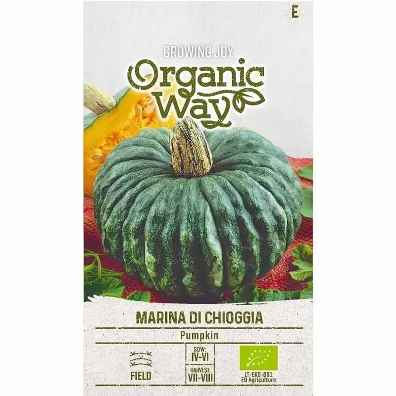 Pumpa 'Marina di chioggia'