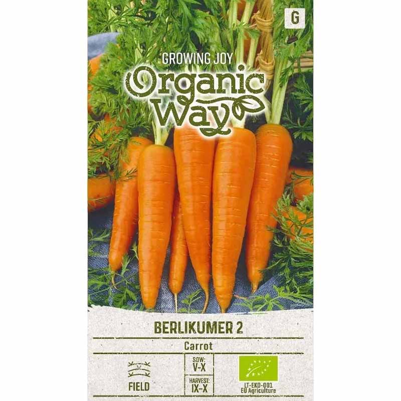 Morot 'Berlikumer 2'