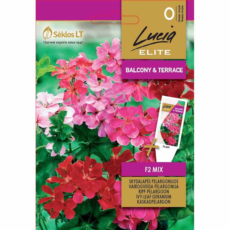 Kaskadpelargon 'F2' MIX