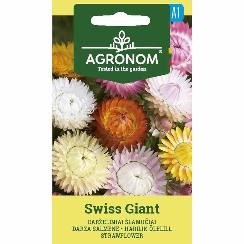 Jätteeternell 'Swiss Giants'