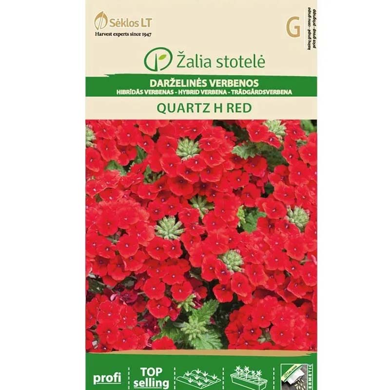 Verbena 'Quartz' H Red