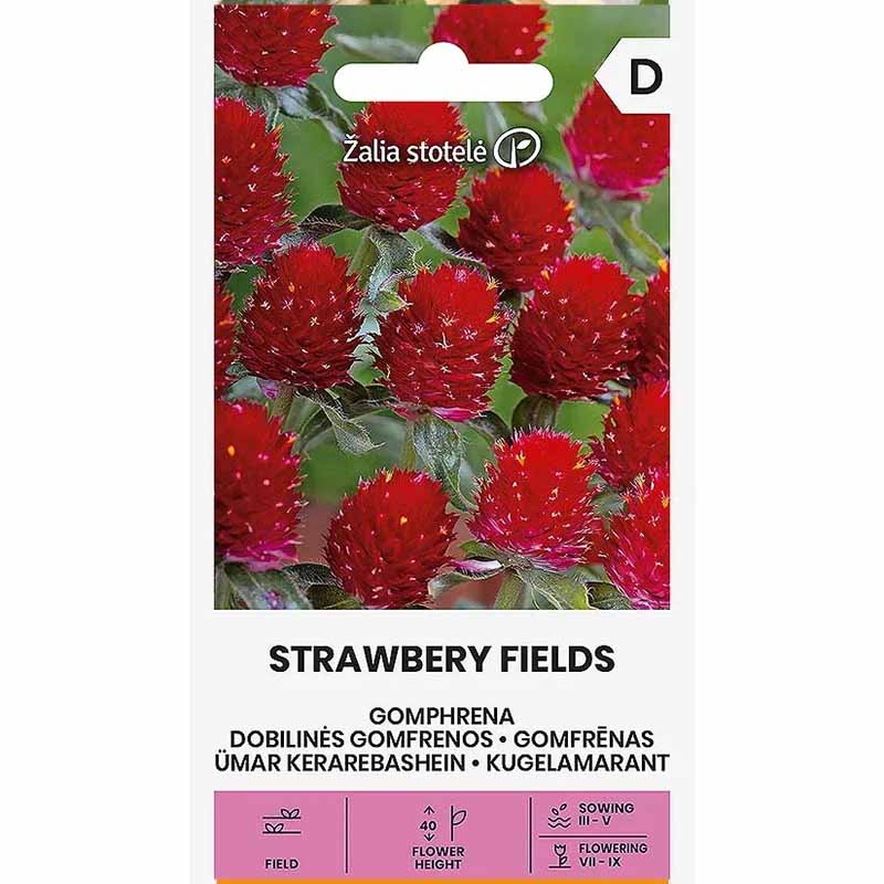 Röd guldamarant 'Strawberry fields'